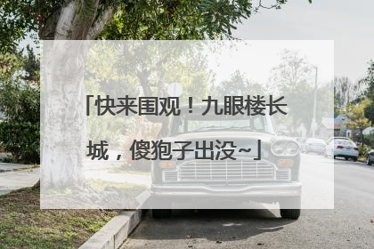 快来围观！九眼楼长城，傻狍子出没~