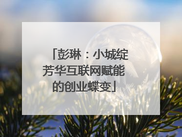 彭琳：小城绽芳华互联网赋能的创业蝶变