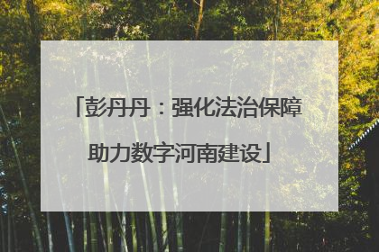 彭丹丹：强化法治保障 助力数字河南建设