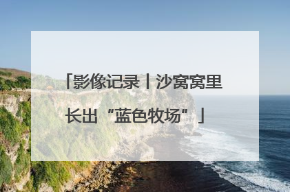 影像记录丨沙窝窝里长出“蓝色牧场”