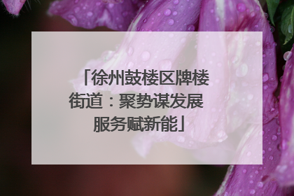 徐州鼓楼区牌楼街道：聚势谋发展 服务赋新能