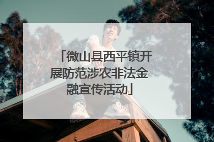 微山县西平镇开展防范涉农非法金融宣传活动