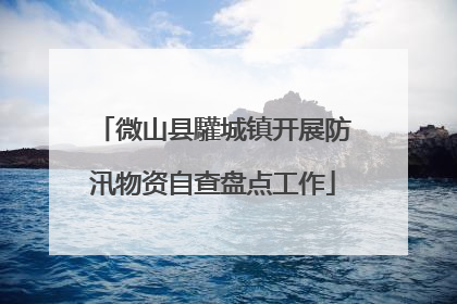 微山县驩城镇开展防汛物资自查盘点工作