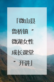 微山县鲁桥镇“微湖女性成长课堂”开讲
