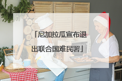 尼加拉瓜宣布退出联合国难民署