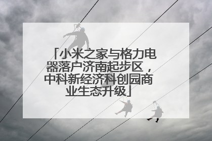 小米之家与格力电器落户济南起步区，中科新经济科创园商业生态升级