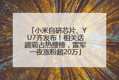 小米自研芯片、YU7齐发布！相关话题霸占热搜榜，雷军一夜涨粉超20万