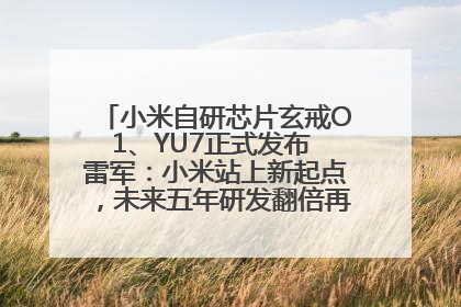 小米自研芯片玄戒O1、YU7正式发布 雷军：小米站上新起点，未来五年研发翻倍再投2000亿元