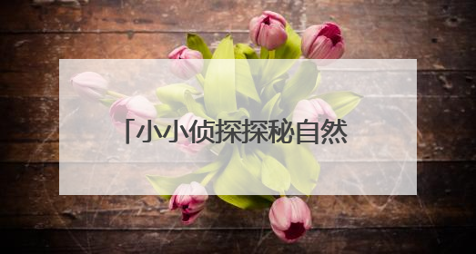 小小侦探探秘自然 端午文化焕发新光