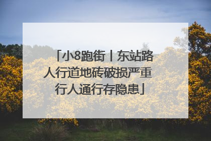 小8跑街丨东站路人行道地砖破损严重 行人通行存隐患