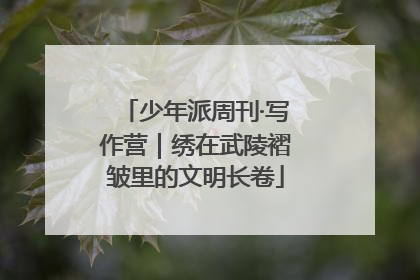 少年派周刊·写作营｜绣在武陵褶皱里的文明长卷