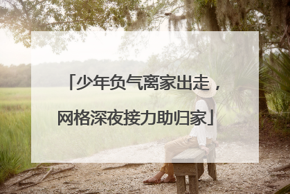 少年负气离家出走，网格深夜接力助归家
