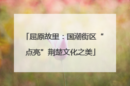 屈原故里：国潮街区“点亮”荆楚文化之美