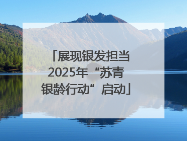 展现银发担当 2025年“苏青银龄行动”启动