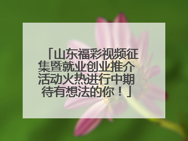 山东福彩视频征集暨就业创业推介活动火热进行中期待有想法的你！