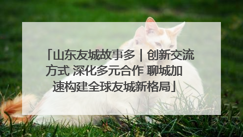 山东友城故事多｜创新交流方式 深化多元合作 聊城加速构建全球友城新格局