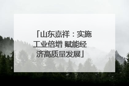 山东嘉祥：实施工业倍增 赋能经济高质量发展