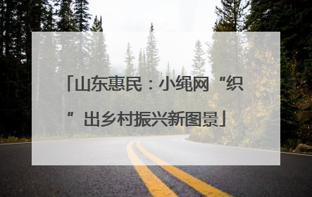 山东惠民：小绳网“织”出乡村振兴新图景