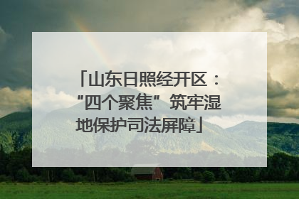 山东日照经开区：“四个聚焦”筑牢湿地保护司法屏障