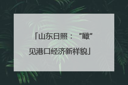 山东日照：“瞰”见港口经济新样貌