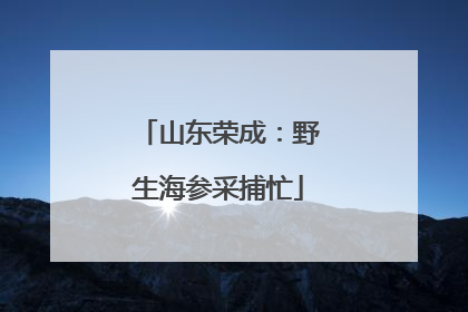 山东荣成：野生海参采捕忙