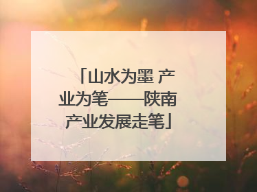 山水为墨 产业为笔——陕南产业发展走笔