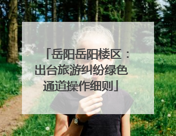 岳阳岳阳楼区：出台旅游纠纷绿色通道操作细则
