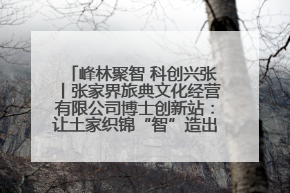 峰林聚智 科创兴张丨张家界旅典文化经营有限公司博士创新站：让土家织锦“智”造出非遗新传奇