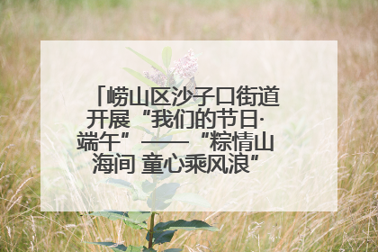崂山区沙子口街道开展“我们的节日·端午”——“粽情山海间 童心乘风浪”文明实践活动