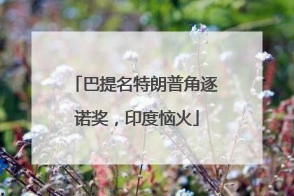 巴提名特朗普角逐诺奖，印度恼火