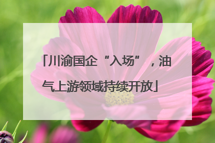 川渝国企“入场”，油气上游领域持续开放