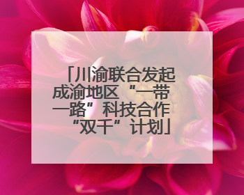 川渝联合发起成渝地区“一带一路”科技合作“双千”计划