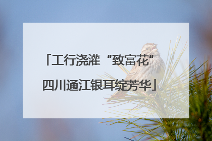 工行浇灌“致富花” 四川通江银耳绽芳华