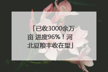 已收3000余万亩 进度96%！河北夏粮丰收在望