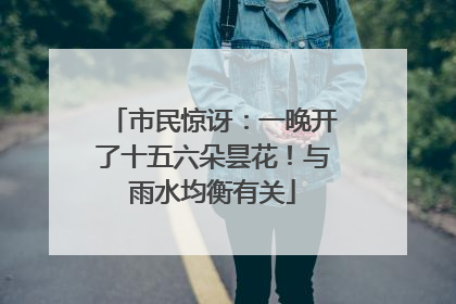 市民惊讶：一晚开了十五六朵昙花！与雨水均衡有关