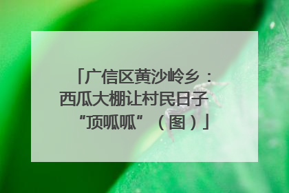 广信区黄沙岭乡：西瓜大棚让村民日子“顶呱呱”（图）