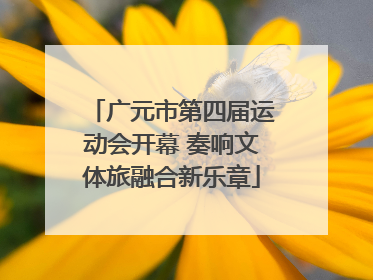 广元市第四届运动会开幕 奏响文体旅融合新乐章