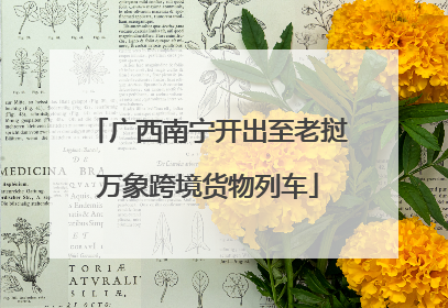 广西南宁开出至老挝万象跨境货物列车