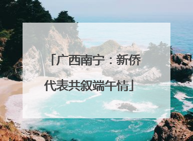 广西南宁：新侨代表共叙端午情