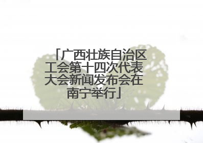 广西壮族自治区工会第十四次代表大会新闻发布会在南宁举行