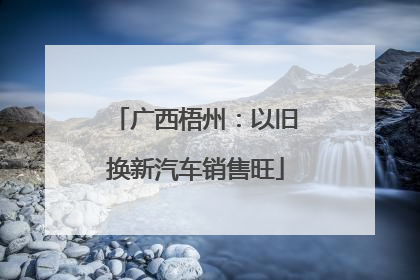 广西梧州：以旧换新汽车销售旺