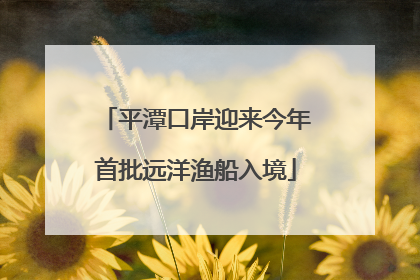 平潭口岸迎来今年首批远洋渔船入境