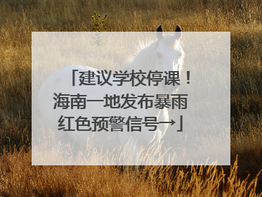 建议学校停课！海南一地发布暴雨红色预警信号→