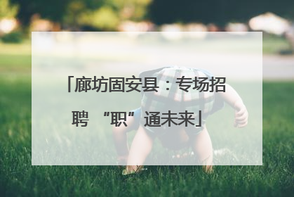 廊坊固安县：专场招聘 “职”通未来