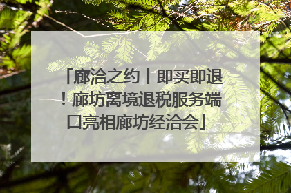 廊洽之约丨即买即退！廊坊离境退税服务端口亮相廊坊经洽会