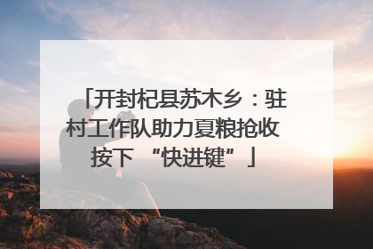 开封杞县苏木乡：驻村工作队助力夏粮抢收按下 “快进键”