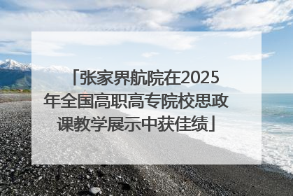 张家界航院在2025年全国高职高专院校思政课教学展示中获佳绩
