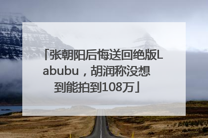 张朝阳后悔送回绝版Labubu，胡润称没想到能拍到108万