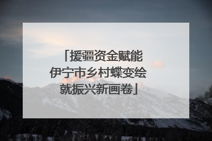 援疆资金赋能 伊宁市乡村蝶变绘就振兴新画卷
