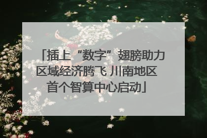 插上“数字”翅膀助力区域经济腾飞 川南地区首个智算中心启动